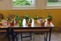 IMG-20240415-0021