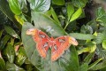 IMG-20250506-WA0025