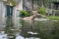 IMG-20250506-WA0082