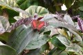 IMG_20250506_102722