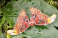IMG_20250506_103553