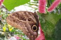 IMG_20250506_103625