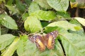 IMG_20250506_103641