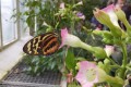 IMG_20250506_103717
