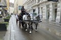 IMG_20250506_113417
