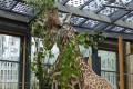 IMG_20250506_153647