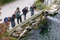 IMG_20250506_160508