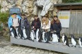 IMG_20250506_161204