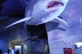 IMG_20250507_163924