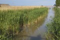 IMG_20250507_173954