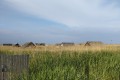 IMG_20250507_174003