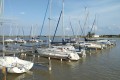 IMG_20250507_175606
