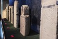 IMG_20250508_101849