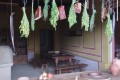 IMG_20250508_105200