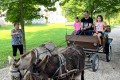 IMG_7819