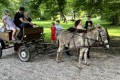 IMG_7832