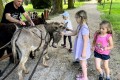 IMG_7839