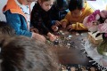 IMG20250616104403