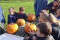 IMG_20241024_095241