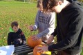 IMG_20241024_095528_1