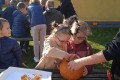 IMG_20241024_095752_1