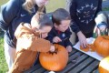 IMG_20241024_100806