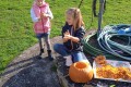 IMG_20241024_100846_1