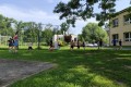 IMG_20250618_102517