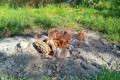 IMG_20250624_084926