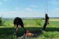 IMG_20250624_084947