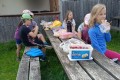 IMG20250625092630