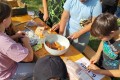 IMG_20250626_082153