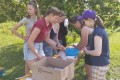 IMG_20250626_081741