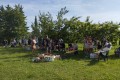 IMG_20250626_081752