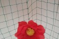 IMG_20260313_081520