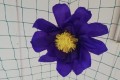 IMG_20260313_081546