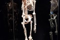 IMG_20260303_120235