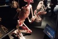 IMG_20260303_120303