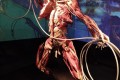 IMG_20260303_123920