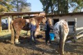 IMG_20260318_085756