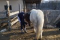 IMG_20260318_085802