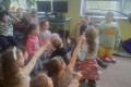 IMG-20260401-0011