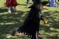 IMG_4597