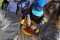 IMG_4611