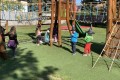 IMG_6516