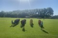 IMG_5240
