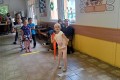 20260601_094549