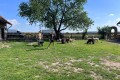 IMG-20260618-WA0004