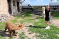 IMG-20260618-WA0006