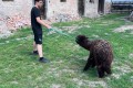 IMG-20260618-WA0007